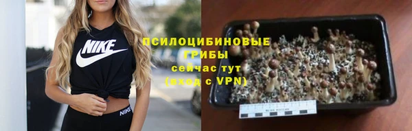 стаф Алексеевка