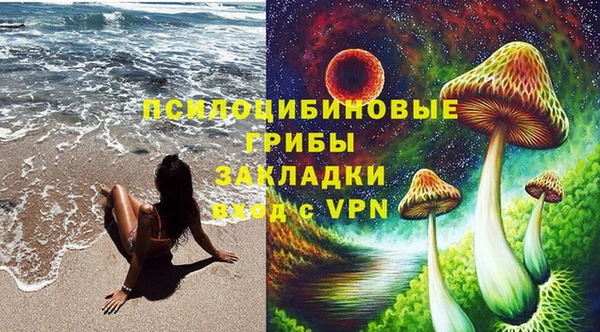 прущая мука Алзамай