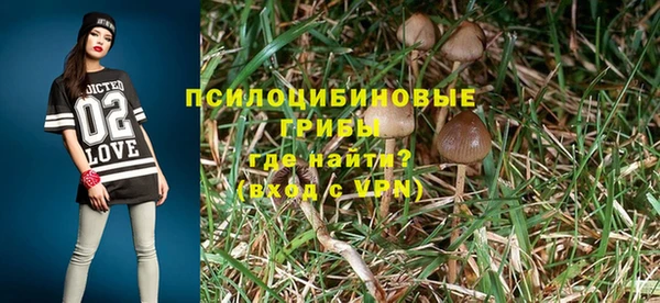 стаф Алексеевка