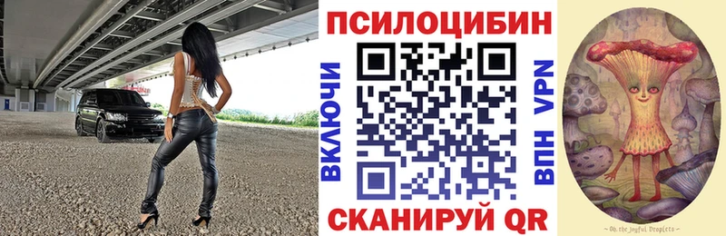 Галлюциногенные грибы Psilocybine cubensis  darknet Telegram  Махачкала 
