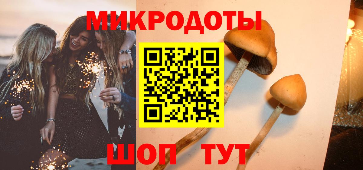 Галлюциногенные грибы мухоморы Махачкала
