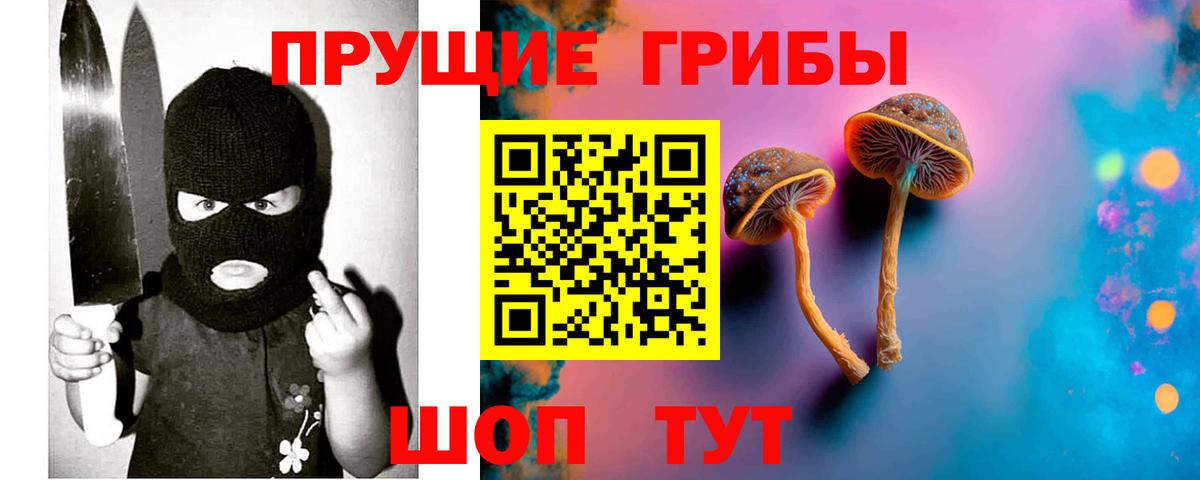 где продают наркотики  Вход с VPN  Махачкала  Псилоцибиновые грибы мухоморы 